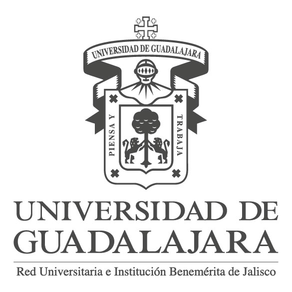 Descripción de la imagen