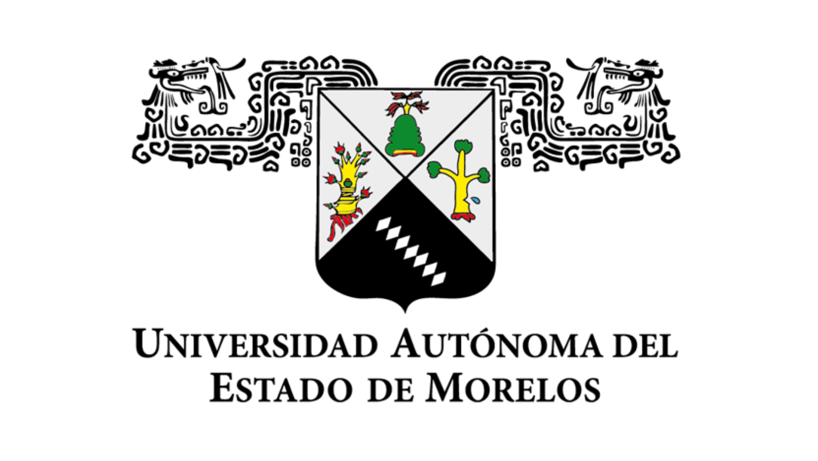 Descripción de la imagen