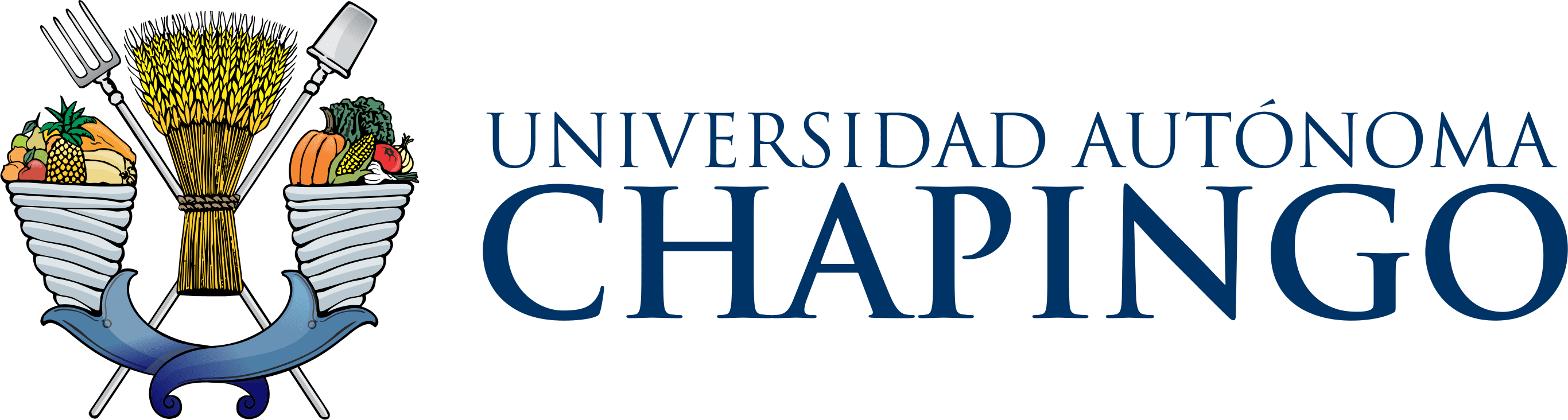 Descripción de la imagen